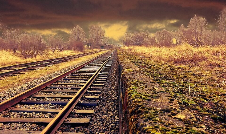 how the cardiovascular system functions