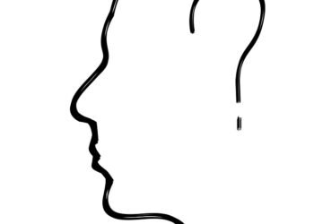 how the human brain processes information