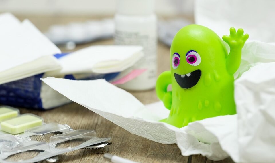 how the immune system protects the body