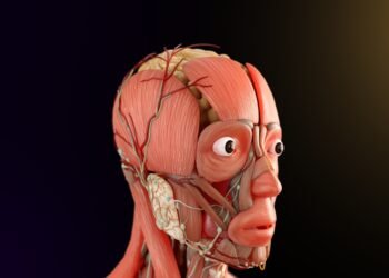 how the nervous system controls