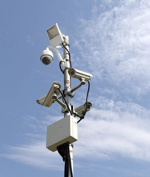 how the nervous system controls