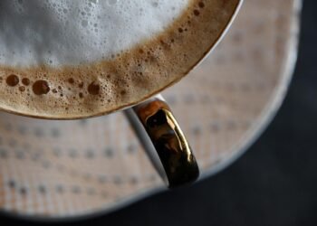 how the human respiratory system works