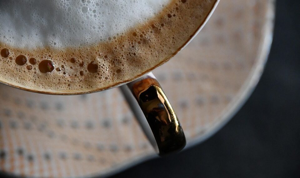 how the human respiratory system works