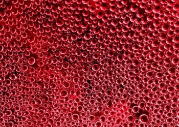 importance of hydration for overall health