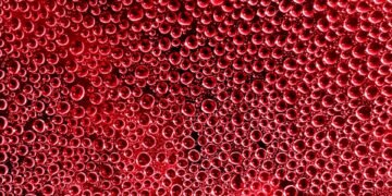 importance of hydration for overall health