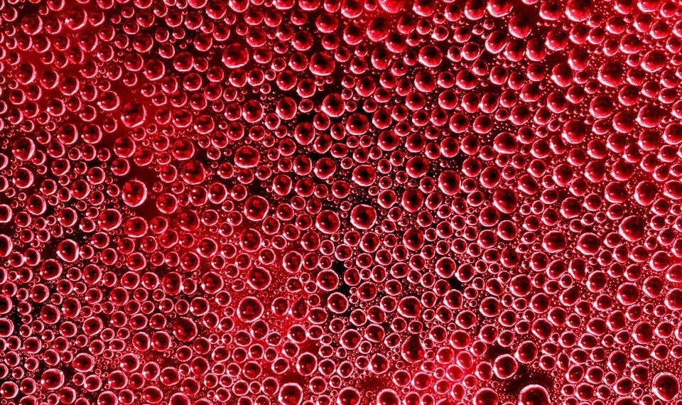 importance of hydration for overall health