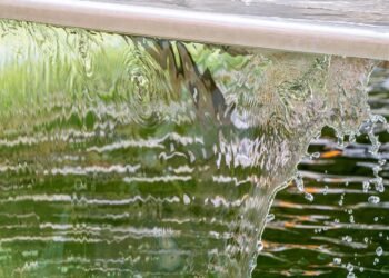 importance of hydration for overall health