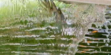 importance of hydration for overall health