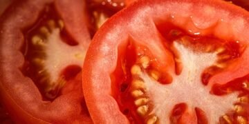 healthy eating habits and nutrition basics