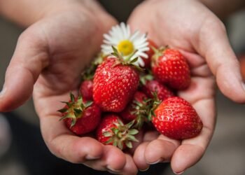 healthy eating habits and nutrition basics