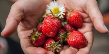 healthy eating habits and nutrition basics