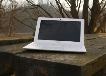 rise of independent films worldwide