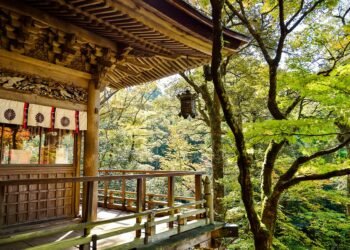 classic japanese cinema directors explained