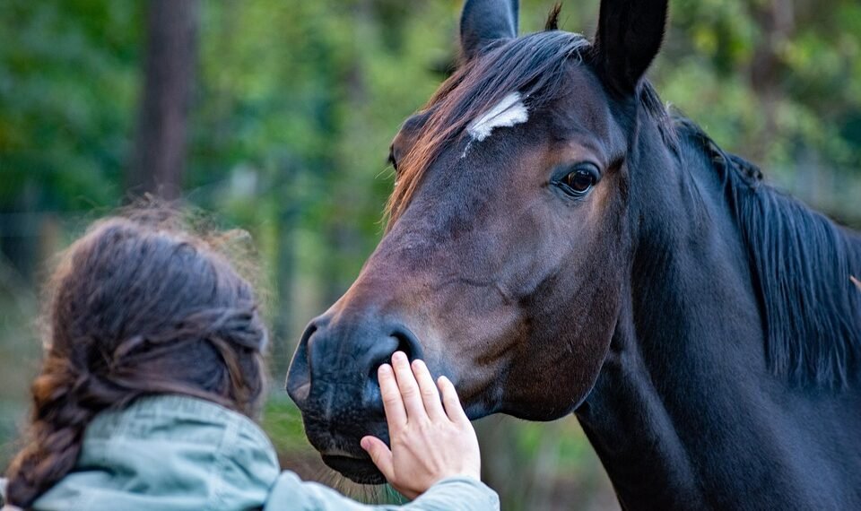 introduction to human digestive system