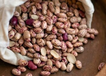 basics of human kidney function