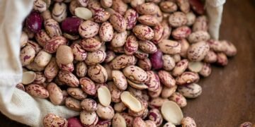 basics of human kidney function