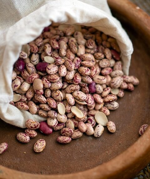 basics of human kidney function