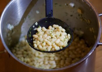 basics of human kidney function