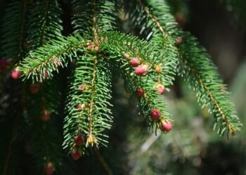 basics of human kidney function