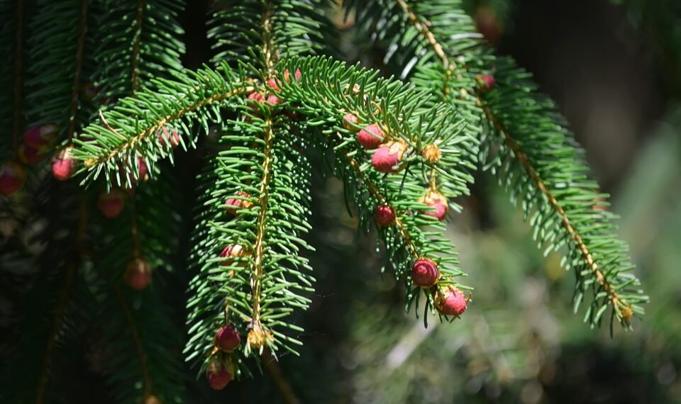 basics of human kidney function