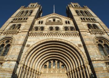 history of british cinema evolution