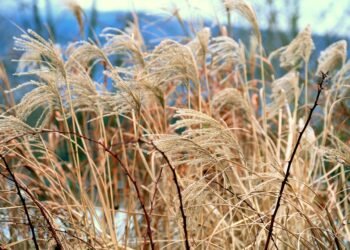 stanley kubrick directing style explained