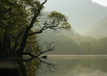 importance of lighting in film production