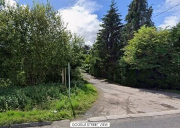 London Council Investigates Illegal Rubbish Dumping and Burning on Green Belt