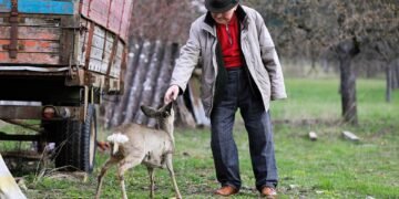 introduction to human digestive system