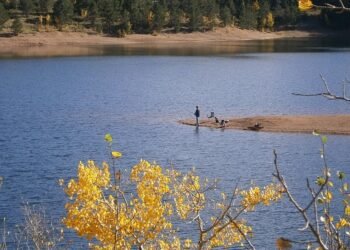 introduction to human digestive system