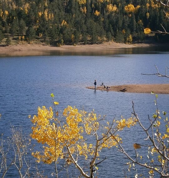 introduction to human digestive system