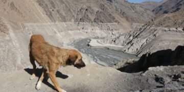 Major City Faces Water Crisis: Evacuation Possible as Supplies Dwindle