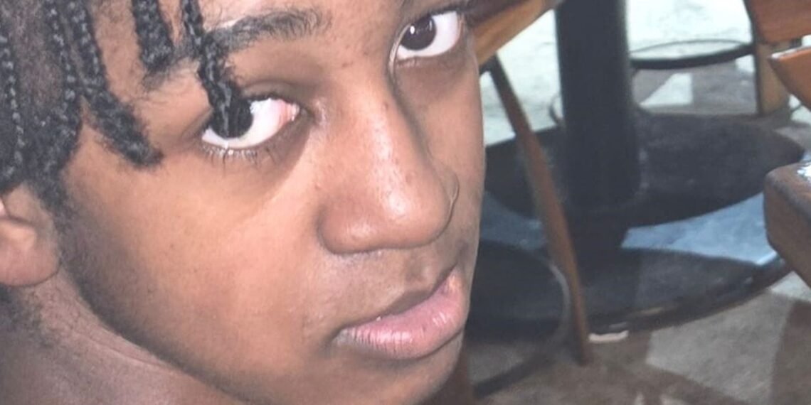 Man Arrested on Suspicion of Murder Following Fatal Stabbing of 15-Year-Old in London