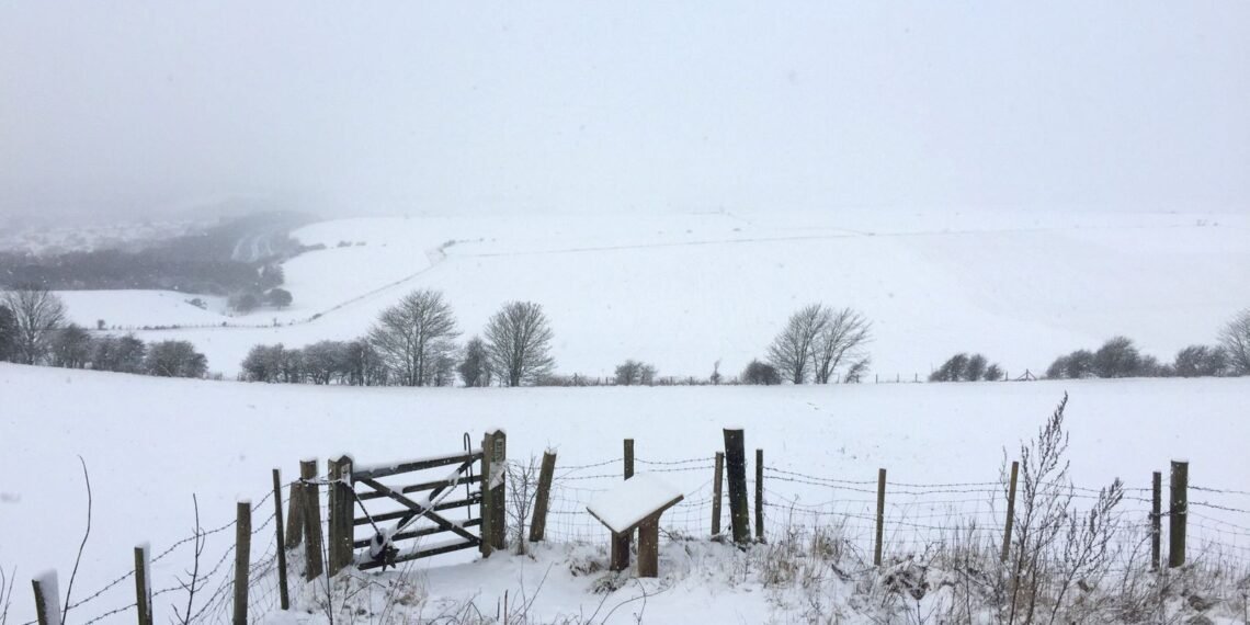 Met Office Predicts Slim Chance of White Christmas Across the UK