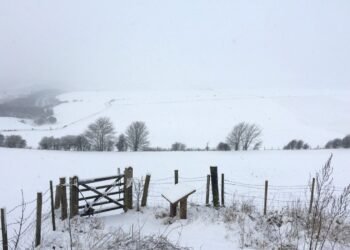 Met Office Predicts Slim Chance of White Christmas Across the UK