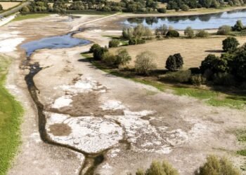 Met Office Reports 2025 Set to Be UK’s Hottest Year on Record