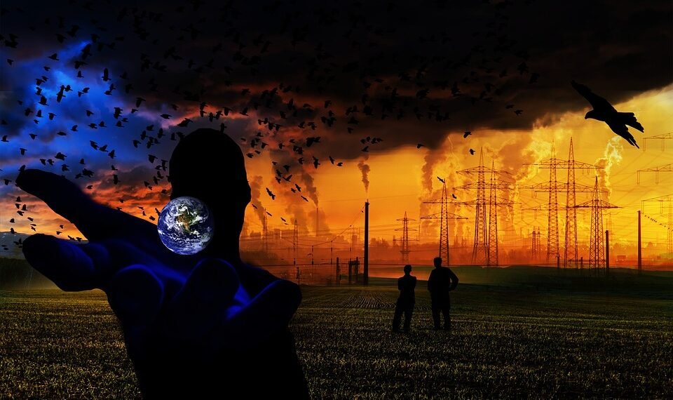 basics of body metabolism and energy use