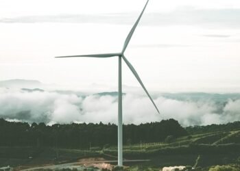 basics of body metabolism and energy use