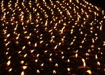 basics of body metabolism and energy use