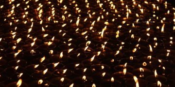 basics of body metabolism and energy use