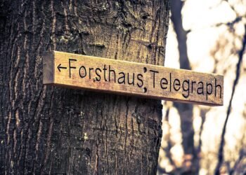 how casting decisions influence character portrayal