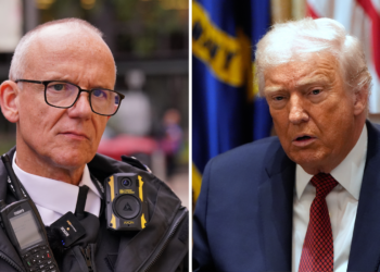Metropolitan Police Chief Challenges Trump's Claims on London Crime Rates