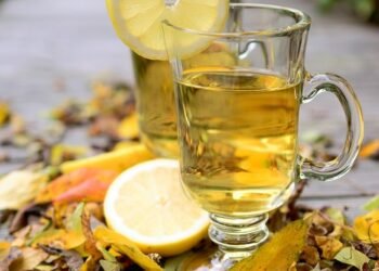 how the immune system protects the body