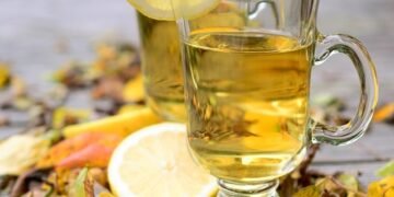 how the immune system protects the body
