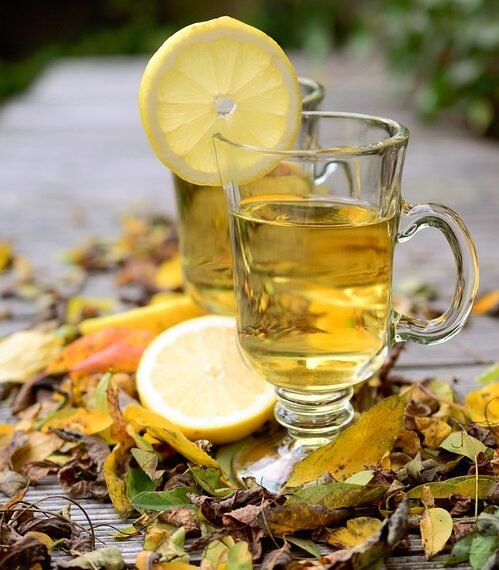 how the immune system protects the body