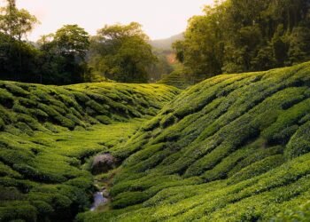 history of james cameron’s blockbuster filmmaking