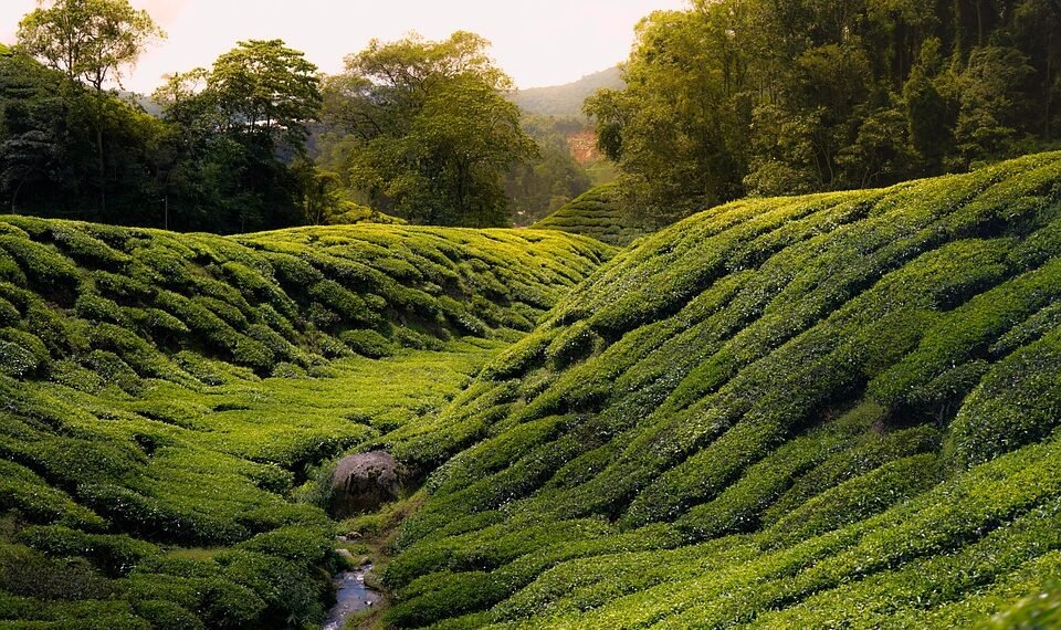 history of james cameron’s blockbuster filmmaking