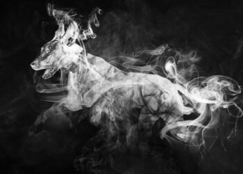 evolution of visual effects in movies