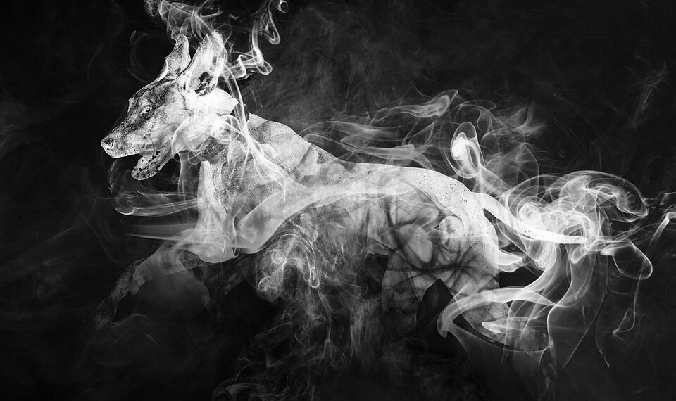 evolution of visual effects in movies