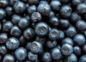 healthy eating habits and nutrition basics